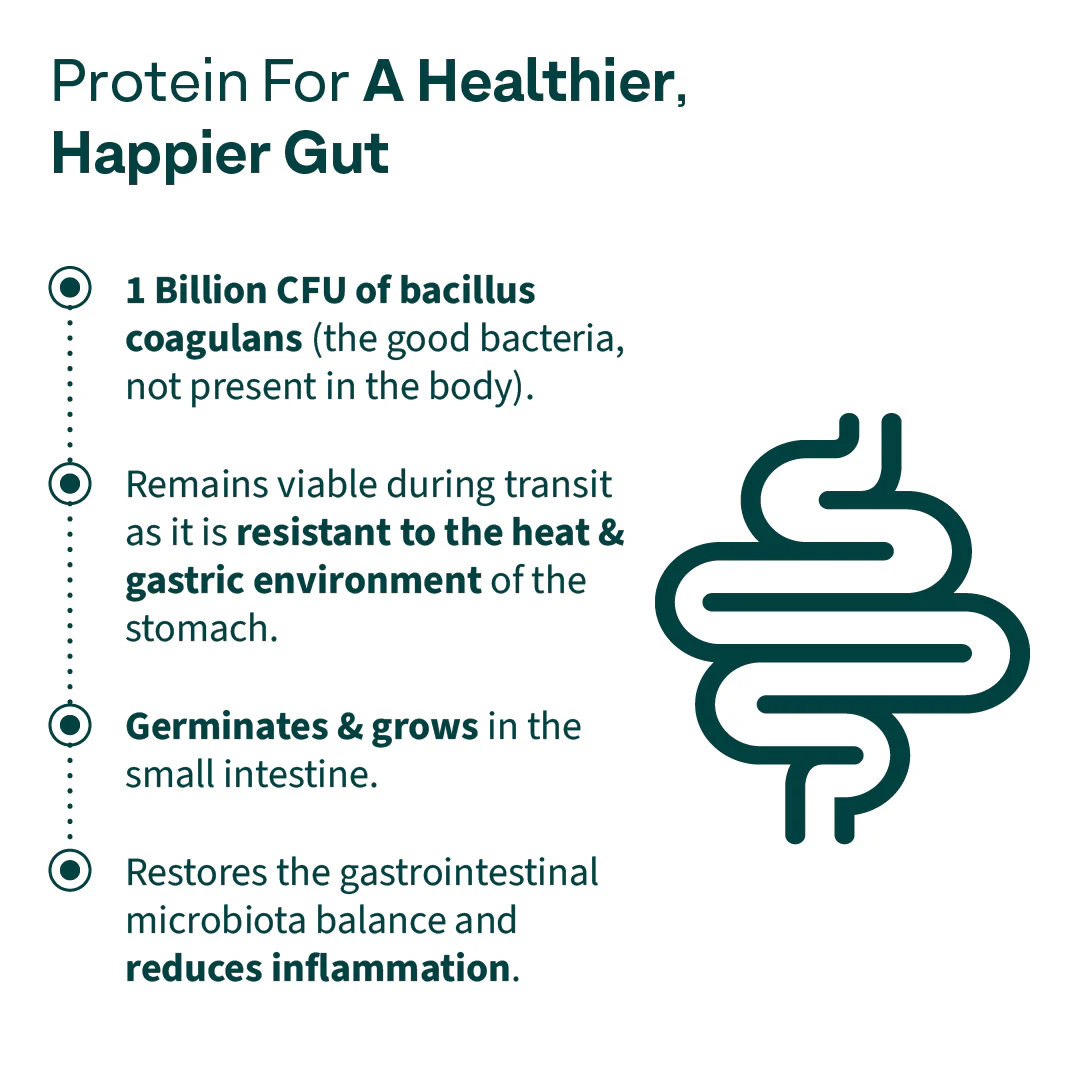 Daily Protein Activ for Women - Image 4