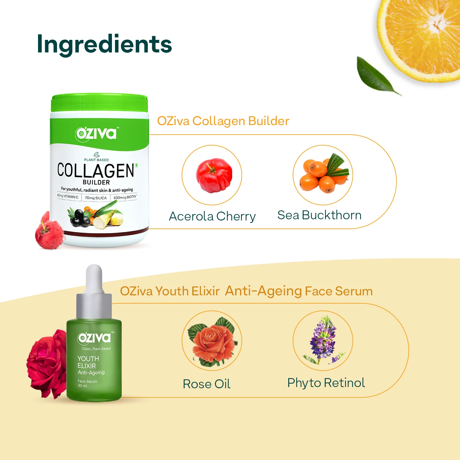 Glow & Anti-Ageing Routine: Youth Elixir Face Serum (30 ml) + Plant Based Classic Collagen Builder (200g) - Image 6